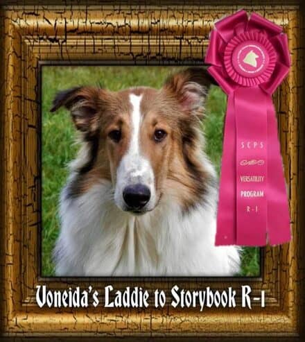 laddie-versatility
